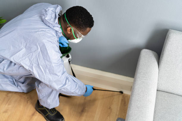 Best Residential Pest Control  in Patchogue, NY